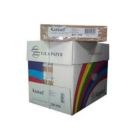 MÁSOLÓPAPÍR  (KARTON) A/4 160 GR.  KASKAD 29 VÖRÖS 50DB/CSG