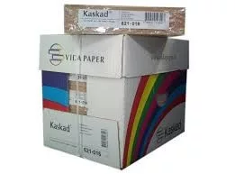 MÁSOLÓPAPÍR  (KARTON) A/4 160 GR.  KASKAD 29 VÖRÖS 50DB/CSG