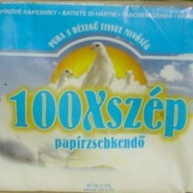 PAPÍRZSEBKENDŐ 100XSZÉP 80 DB-OS 13GR