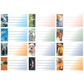 FÜZETCÍMKE MINTÁS 4 SZÍN NYOMOTT BOANI