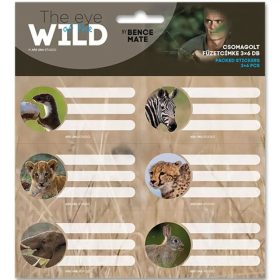 FÜZETCIMKE ARS UNA 3X6 DB-OS  BARSELONA, LAMBORGHINI, NASA, WILD LINE