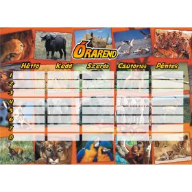 ÓRAREND 1 HETES BOANI