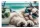 IRATTASAK A/4 PATENTOS PANTAPLAS 180 MIC. CHILLOUT CAT