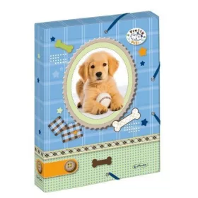 FÜZETBOX PP A/4 PRETTYPETS