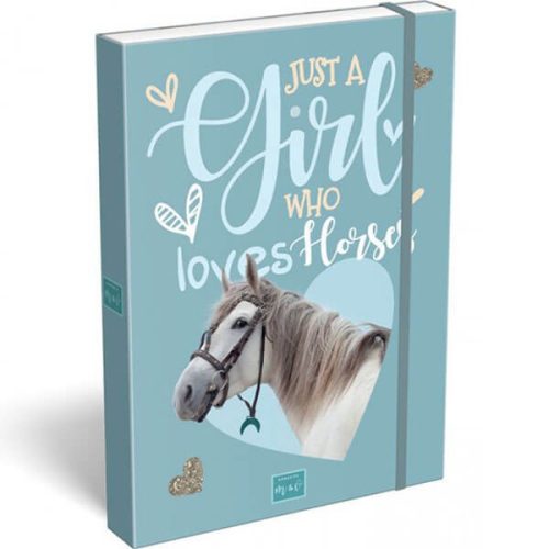 FÜZETBOX A/4 LIZZY VASTAG NÁNÁSIÉK MICI HORSES