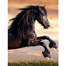 FÜZETBOX A/5 NEBULÓ LÓ FEKETE