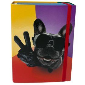 Nebulo füzetbox A/5 Cool Bulldog