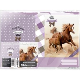 FÜZETBORÍTÓ A/4 LIZZY GEO