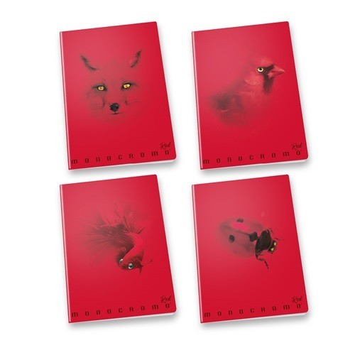 FÜZET PIGNA MONOCROMO RED A/4 TŰZÜTT38 LAPOS KOCKÁS
