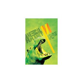 FÜZET A/4 MAR-MAR ANIMAL PLANET 87-40  KOCKÁS