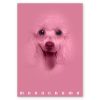Füzet Pigna Monocromo Pink A/4 tűzött 38 lapos vonalas