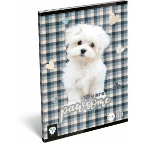 FÜZET A/5 LIZZY KISBAGOLY 27-32 KOCKÁS PAWSOME