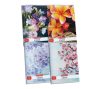 FÜZET HERLITZ A/4 FLOWERS