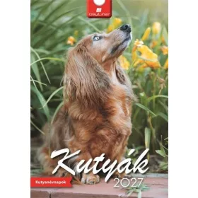 FALINAPTÁR 23X33 SPIRÁLOS DAY LINER KUTYA 2027