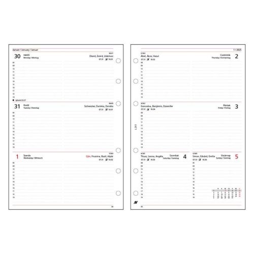 SATURNUS BETÉT L311F 2026