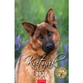 NAPTÁR, FALI, CSG "KUTYÁK"