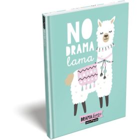 EMLÉKKÖNYV A/5  LIZZY KEMÉNYTÁBLÁS GEO