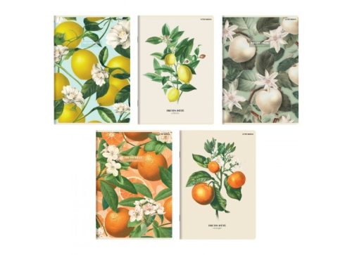 FÜZET A/5 HERLITZ SUMMER HARVEST CLUB 21-32 VONALAS 60 LAPOS