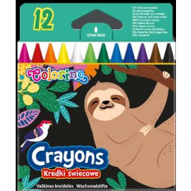 COLORINO ZSÍRKRÉTA WILDKID 12 DARABOS