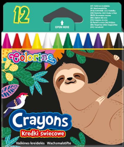 COLORINO ZSÍRKRÉTA WILDKID 12 DARABOS